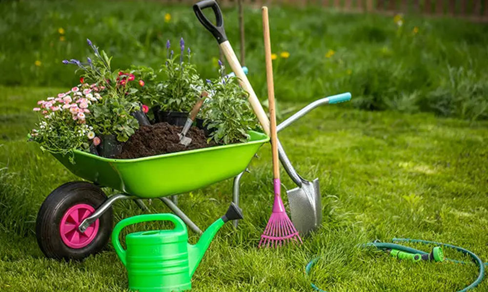 Bahçe Bakımına Yeni Başlayanlar İçin Kesin Rehber