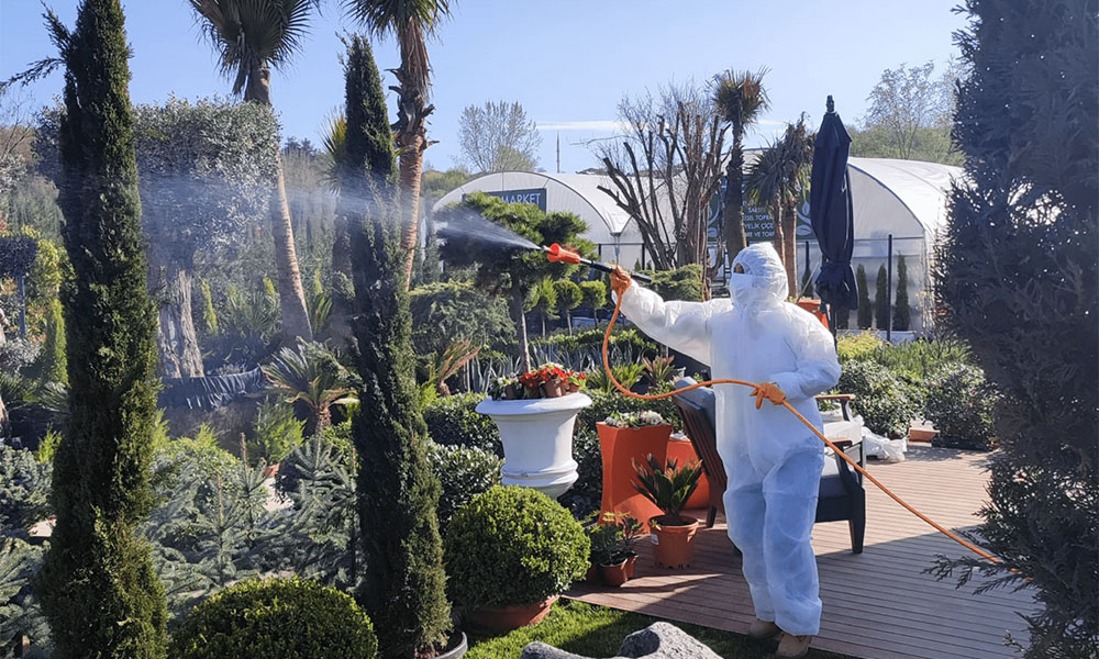 Mevsimlere Göre Bahçe Bakımı