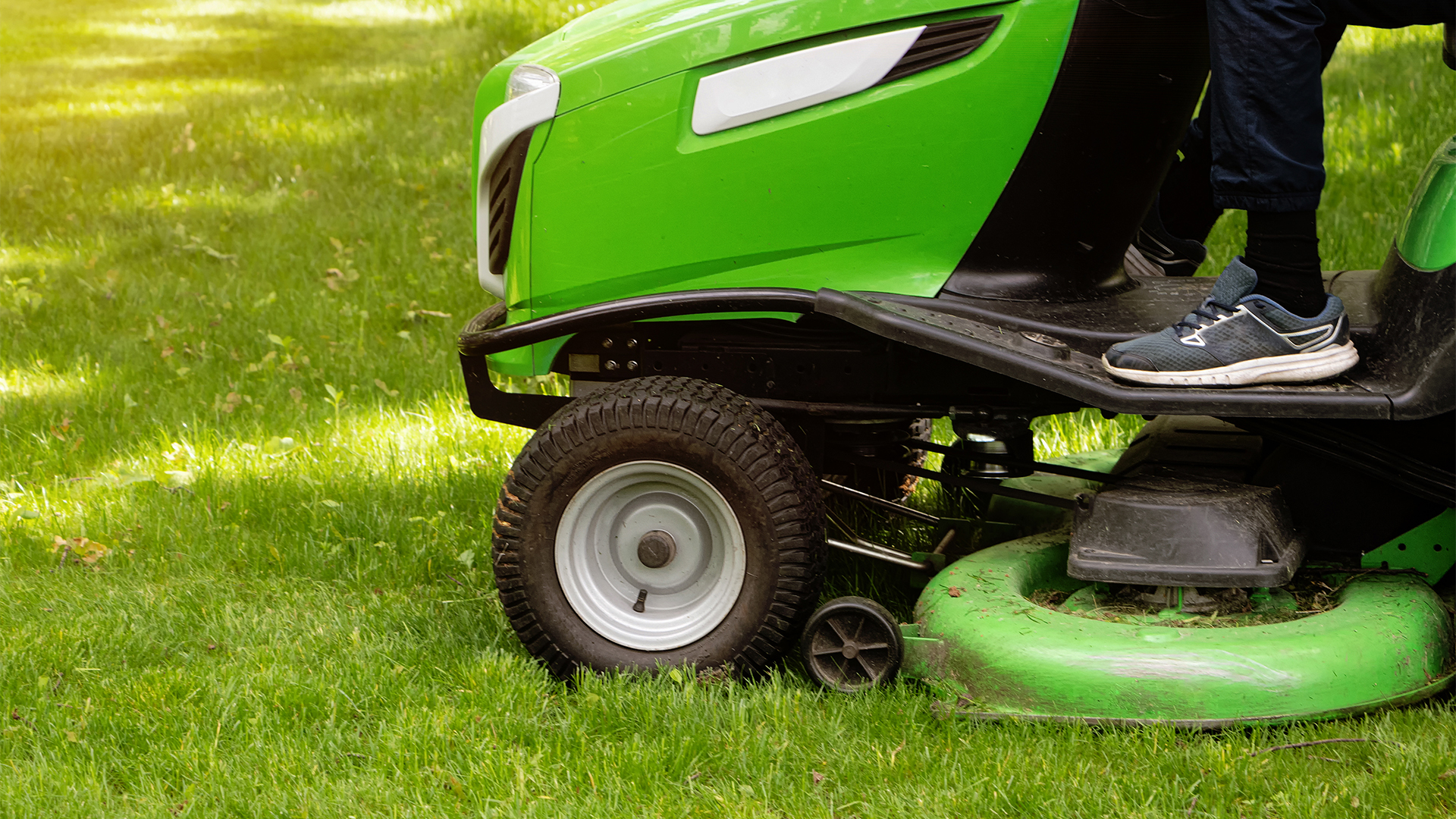 Bodrum Bahçe Bakımı ve Düzenleme