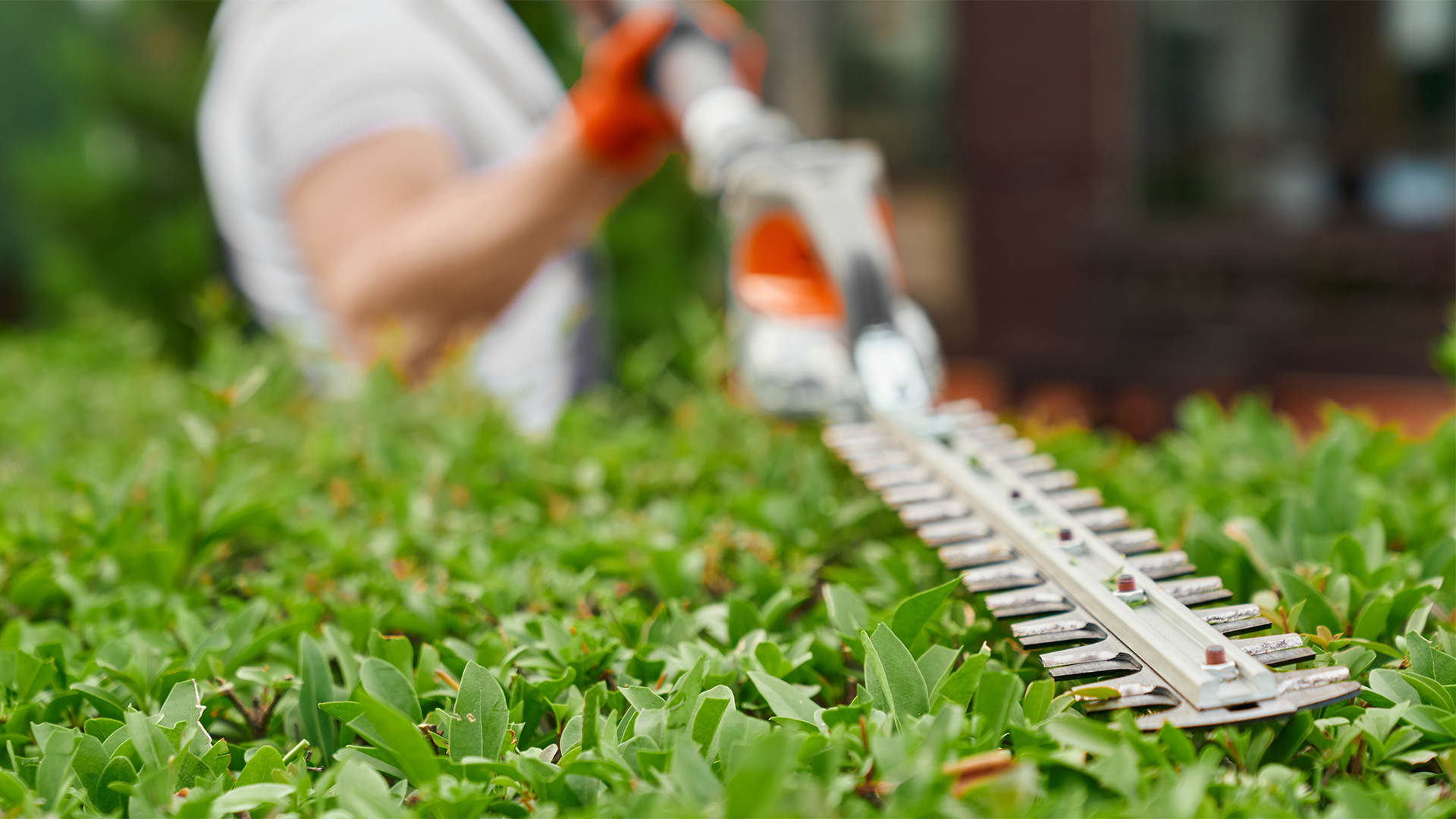 Bodrum Çevre Düzenleme
